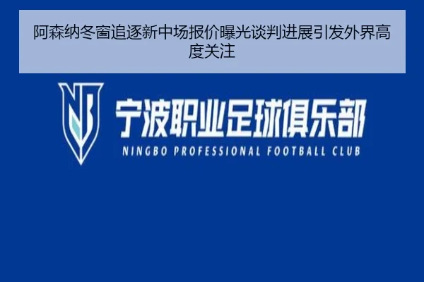 阿森纳冬窗追逐新中场报价曝光谈判进展引发外界高度关注 - Milan